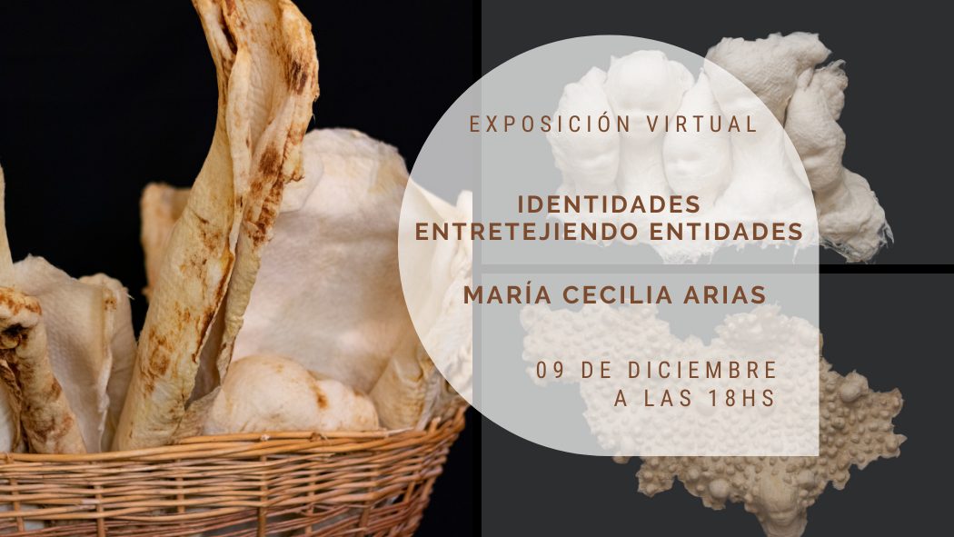 Exposición virtual  “Identidades entretejiendo entidades”