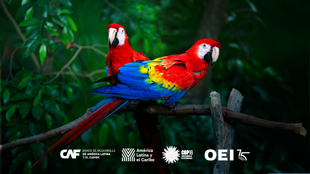 La OEI estará presente en la COP16 en Cali, Colombia 