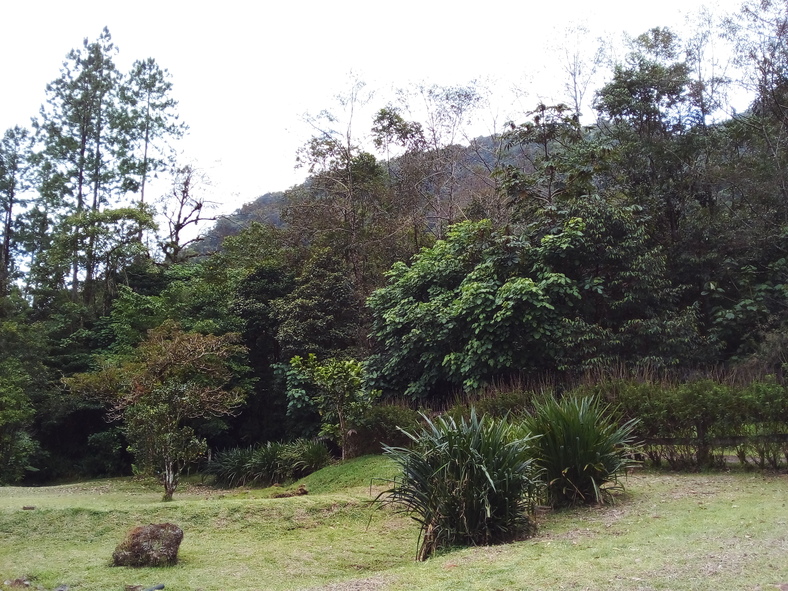 Nº 345 - Vivir cuidando la Montaña Sagrada del Agua de Costa Rica