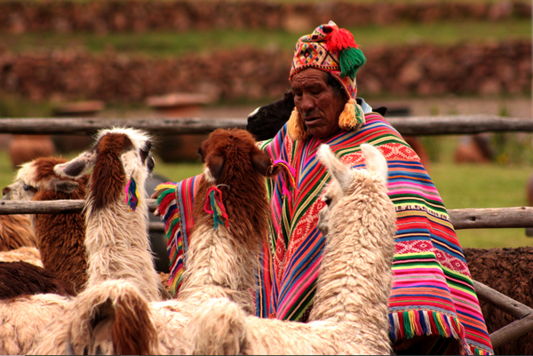 Día de los Pueblos Indígenas: por el rescate y la difusión de los saberes ancestrales de Iberoamérica