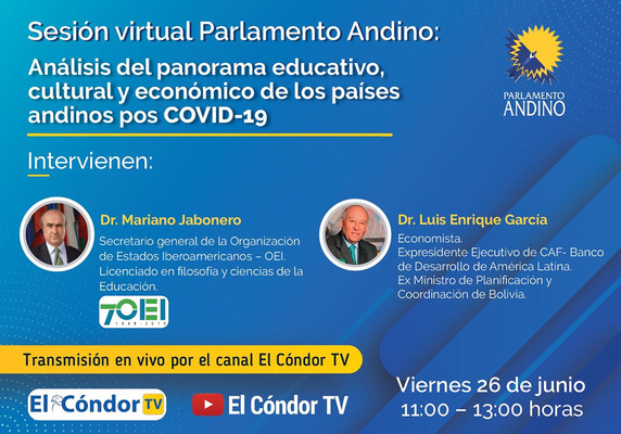 Sesión Virtual del Parlamento Andino