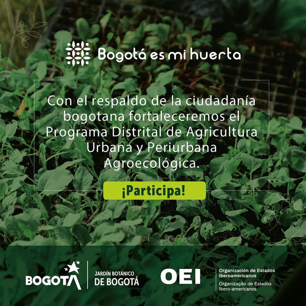 La OEI invita a participar del programa «Bogotá es mi huerta»