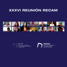 OEI participó de la XXXVI Reunión Especializada de Autoridades Cinematográficas y Audiovisuales del Mercosur (RECAM)