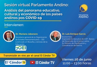 La OEI participa en Sesión Plenaria del Parlamento Andino en formato virtual