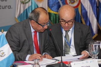 Otto Granados, nuevo Presidente del Consejo Asesor de la OEI para el período 2019-2022