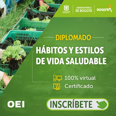 En Convenio #JardinBotánico  y la Organización de Estados Iberoamericanos #OEI  te ofrecen 2 diplomados y un curso: 