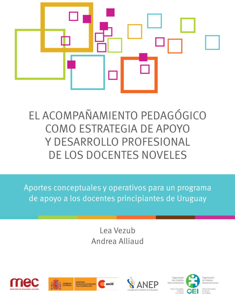 El acompañamiento pedagógico como estrategia de apoyo y desarrollo profesional de los docentes noveles