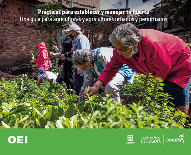 Prácticas para establecer y manejar tu huerta