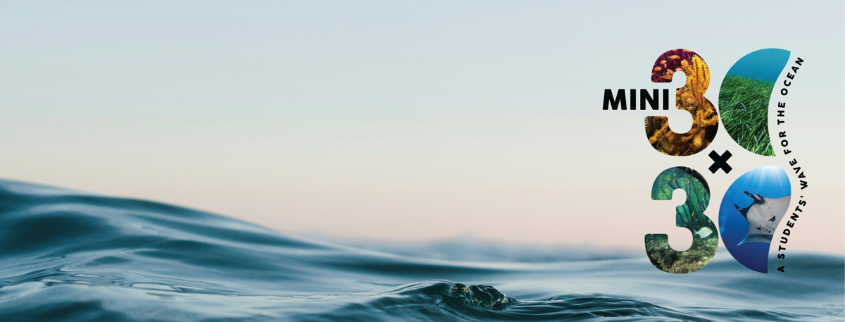 OEI é parceira do desafio Mini 30x30 da Fundação Oceano Azul