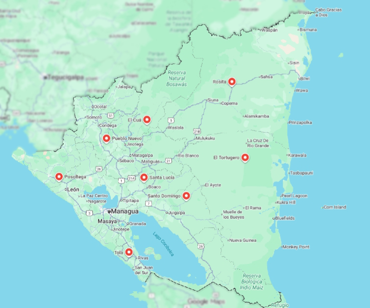 Sitios visitados durante el año 2025